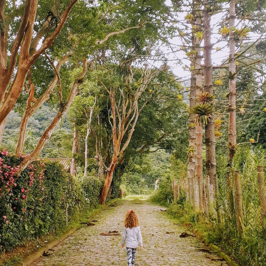 imagem do bosque do visconde