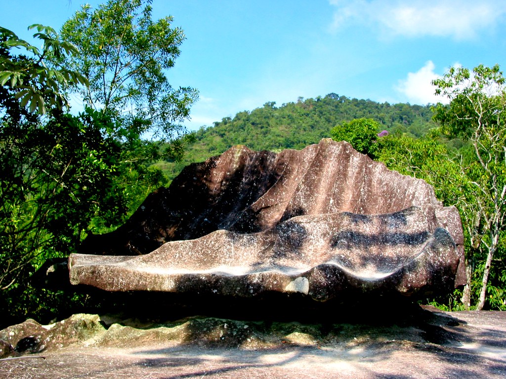 imagem da área de proteção ambiental