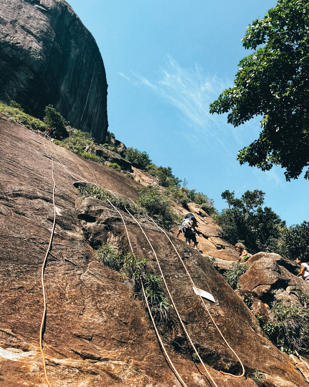 imagem da Pedra Gávea